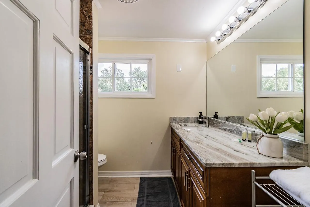 A Large Tropical Estate With 2 Acres Of Space Home Tampa